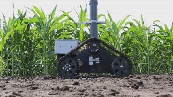 صورة علماء يطورون روبوتا لمراقبة نمو المحاصيل الزراعية