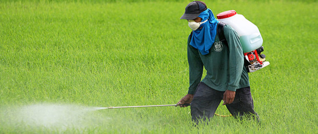 صورة العوامل التي تؤثر على كفاءة وفاعلية المبيدات