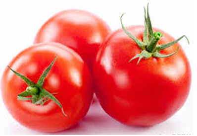 صورة اهم امراض الطماطم وعلاجها