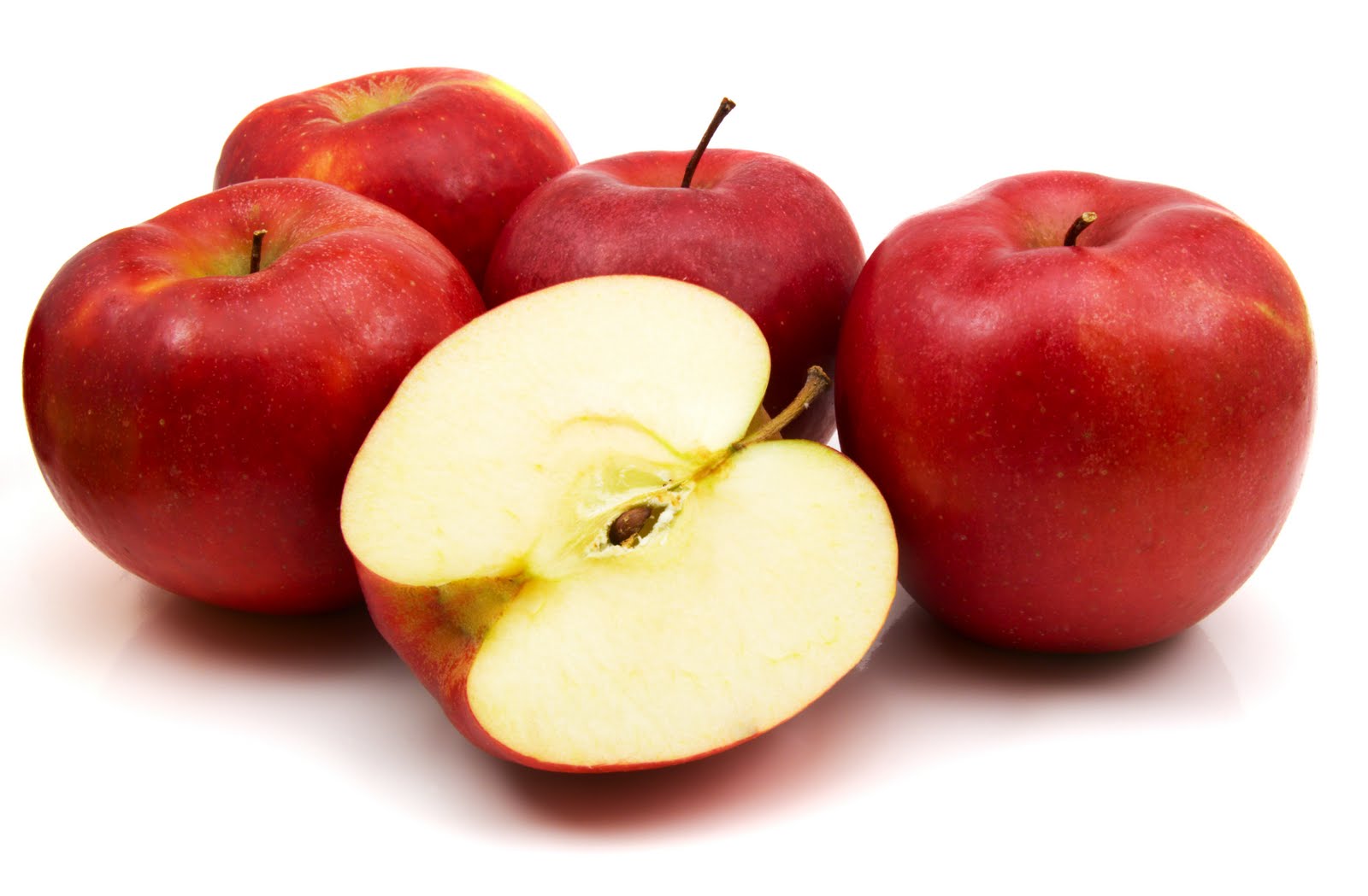 صورة برنامج استرشادي لتسميد التفاح (شجر مثمر- ري تنقيط)