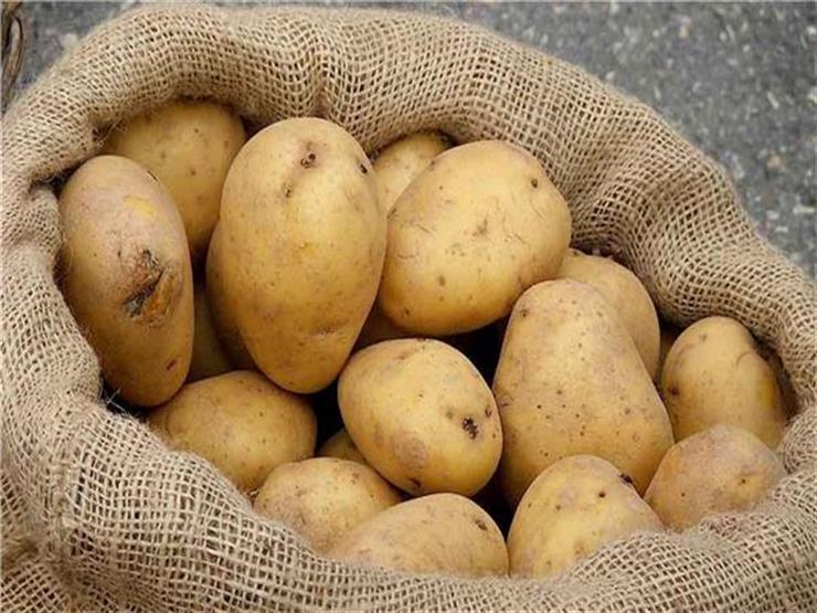 صورة صادرات مصر من البطاطس ترتفع مع بداية عام 2019