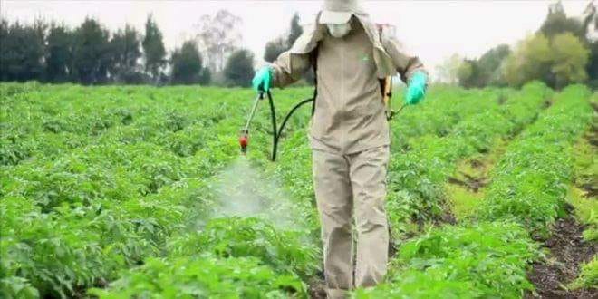 صورة تعرف على أهم محددات استخدام وخلط المبيدات